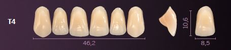 [PRT4-B3] T4-B3 PREMIUM TEETH UPPER ANTERIOR