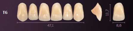 [PRT6-A35] T6-A35 PREMIUM TEETH UPPER ANTERIOR