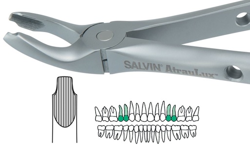 [SAATRAU3] ATRAULUX UPPER PRE MOLAR FORCEP 3