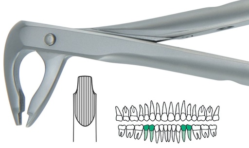 [SAATRAU4] ATRAULUX LOWER PRE MOLAR FORCEP 4