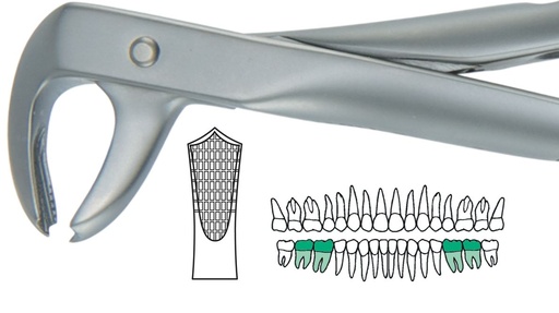 [SAATRAU7] ATRAULUX LOWER MOLAR ATRAUMATIC FORCEP 7