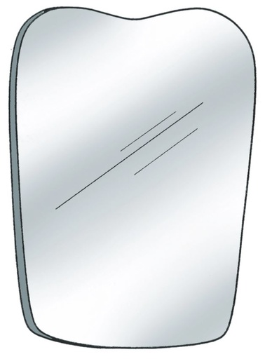 [SAPHOTOOCCPED] PHOTO MIRROR OCCLUSAL PEDO