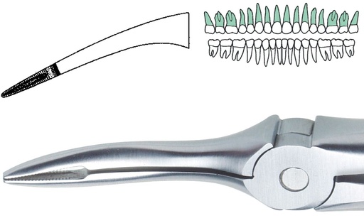 [SAROOTTC] EXTRACTION FORCEPS ROOT TIP UPPER