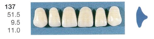 [SE137-B4U] 137-B4U ANTERIOR SENATOR TEETH