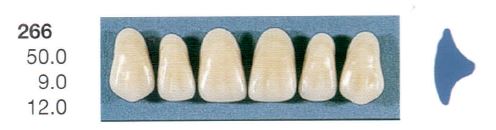 [SE266-A1U] 266-A1U ANTERIOR SENATOR TEETH