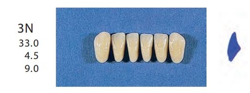 [SE3N-B4L] 3N-B4L ANTERIOR SENATOR TEETH