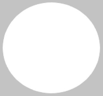 [SORO4WH] M/GUARD RD 4MM WHITE 120MM