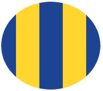 [SORODBYDBYDB] M/GUARD RD 4MM DK BLUE/YEL MULTI 120MM