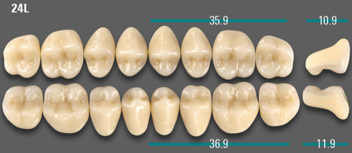 [VIAB0M1V24LUK] VITA VIONIC VIGO Posterior, 0M1, 24L UK