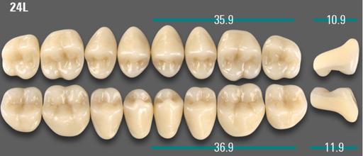 [VIABA1V24LOK] VITA VIONIC VIGO Posterior, A1, 24L OK