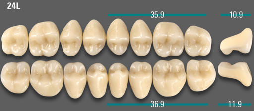 [VIABA1V24LUK] VITA VIONIC VIGO Posterior, A1, 24L UK