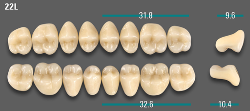 [VIABA2V22LOK] VITA VIONIC VIGO Posterior, A2, 22L OK