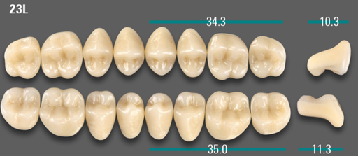 [VIABA2V23LOK] VITA VIONIC VIGO Posterior, A2, 23L OK