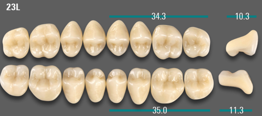 [VIABA35V23LOK] VITA VIONIC VIGO Posterior, A3.5, 23L OK