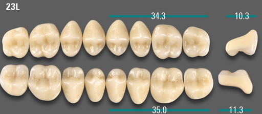 [VIABA3V23LOK] VITA VIONIC VIGO Posterior, A3, 23L OK