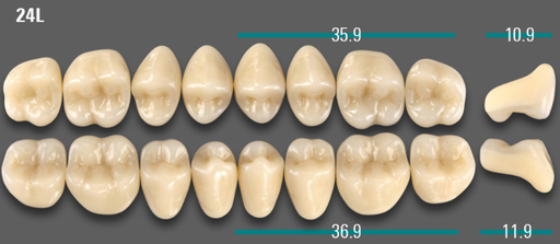 [VIABA3V24LUK] VITA VIONIC VIGO Posterior, A3, 24L UK