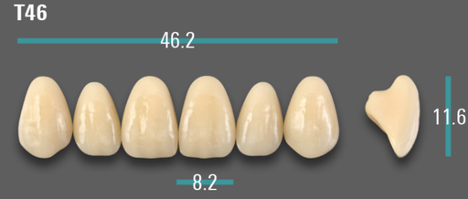 [VIABA3VT46] VITA VIONIC VIGO Anterior, A3, T46