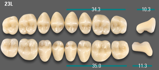 [VIABB3V23LUK] VITA VIONIC VIGO Posterior, B3, 23L UK
