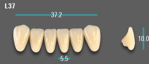[VIABD3VL37] VITA VIONIC VIGO Anterior, D3, L37